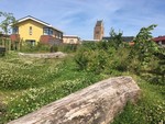 Havenstrjittepark_minnertsgea_medium