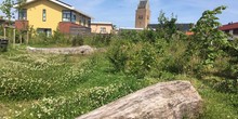 Havenstrjittepark_minnertsgea_normal