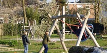 P1050190_schommelen_in_de_lente_normal