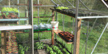 April_2021_kas_1_normal