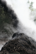 Ges-dampende_compost_medium