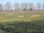 Img_0282_medium