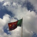 Vlag_medium