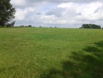 20150716_113356_medium