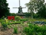 Img_0073_medium