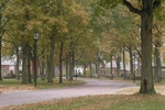 Gasteren_brink_medium