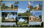 Steggerda_collage_medium