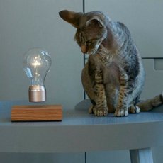 Levitating Bulb Flyte Buckminster 2 0 Copper Led O12 6cm