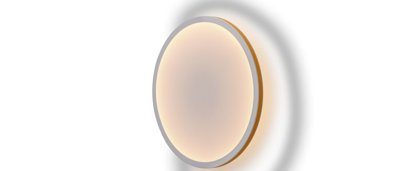 banner-image