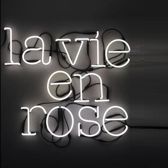 Applique Murale Neon Wall light, Neon art, LA VIE EN ROSE + transformateur, bright  Applique Murale Neon