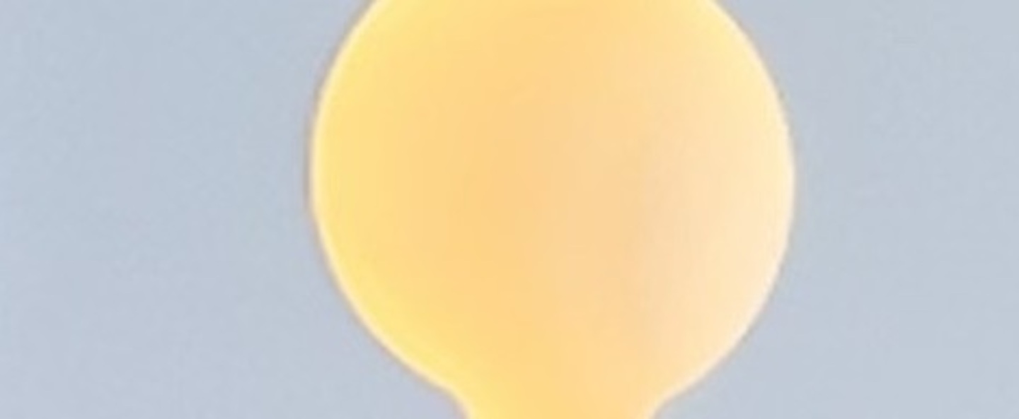 banner-image