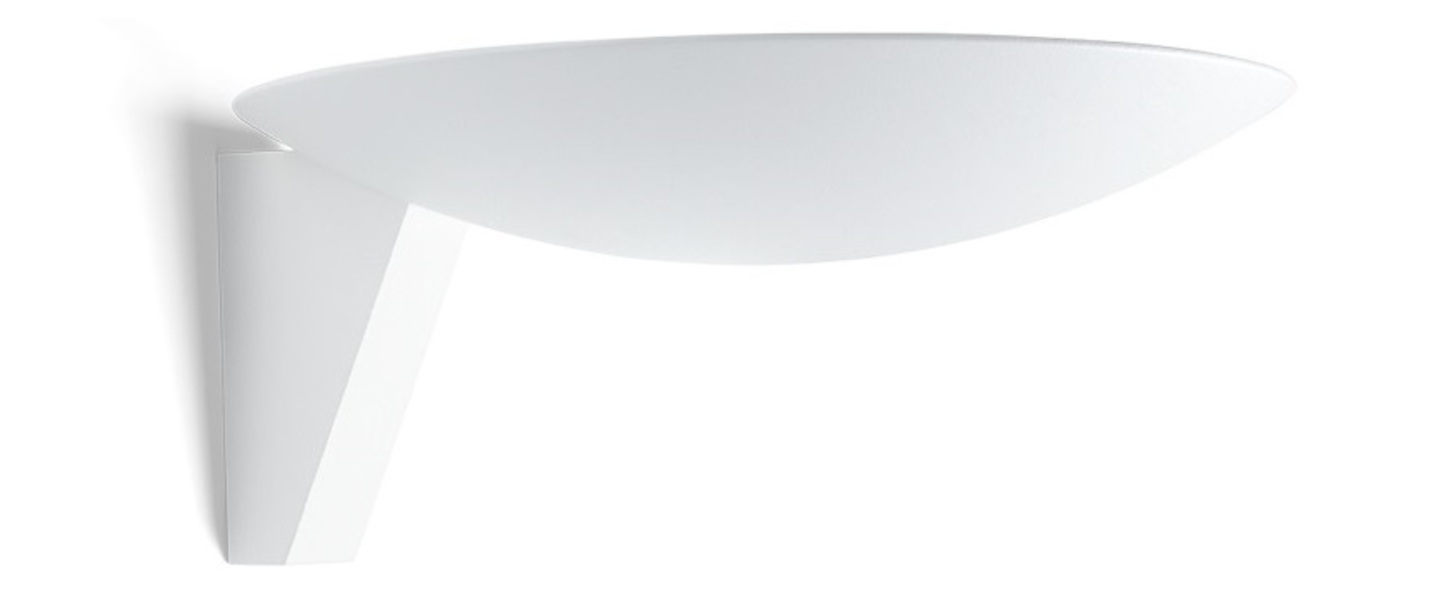 banner-image