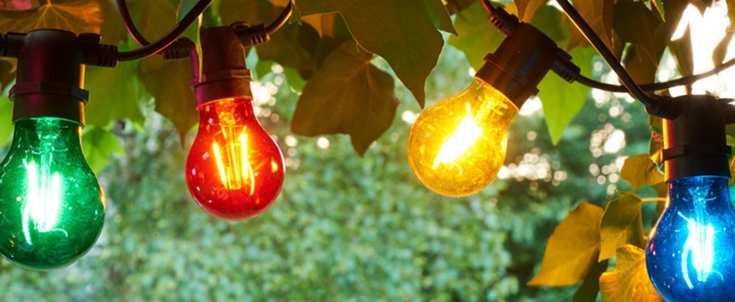 banner-image