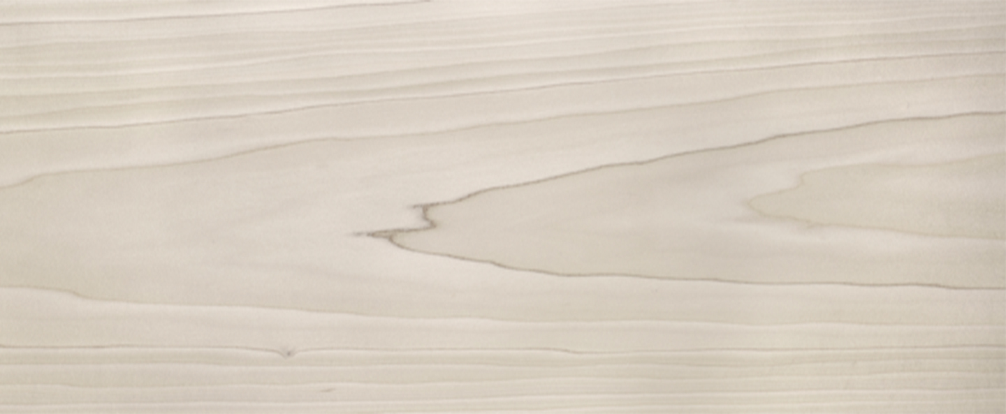 banner-image