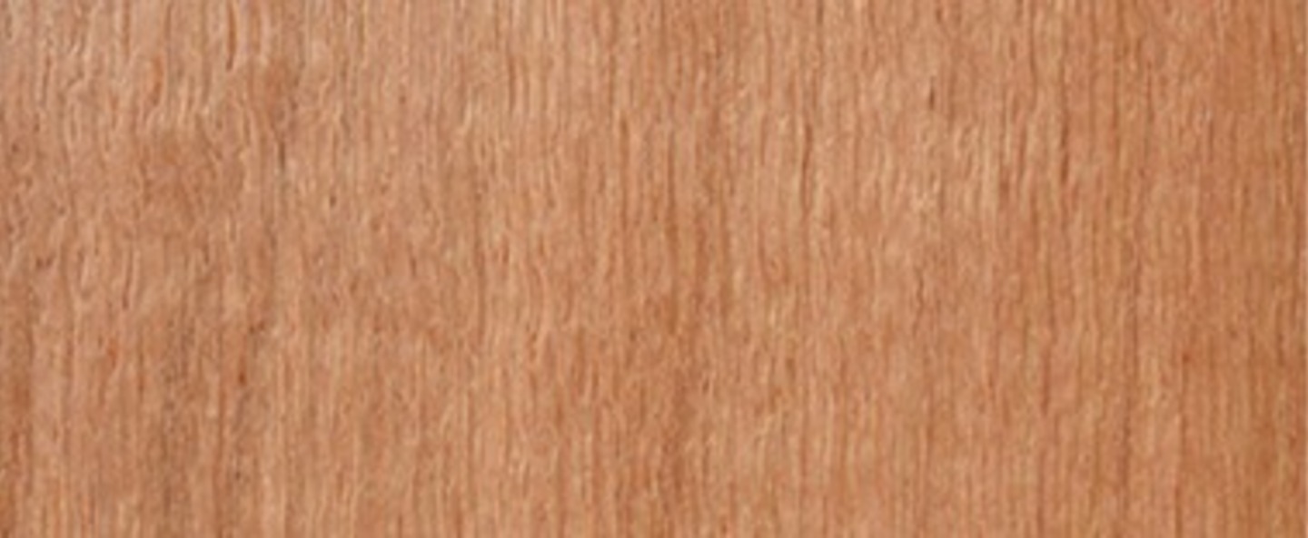 banner-image