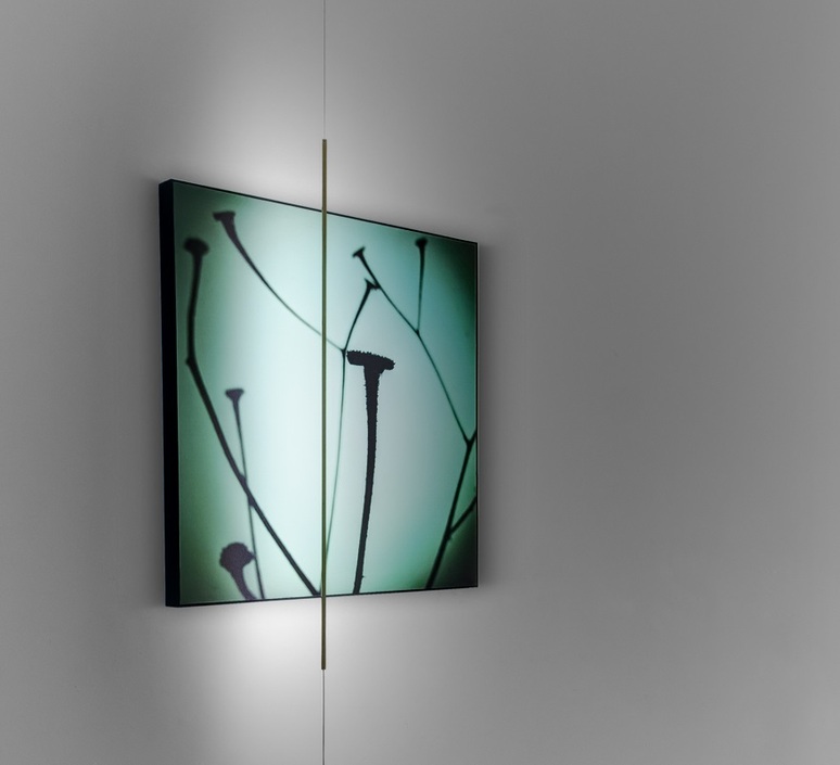 Masai maurizio mancini lampadaire floor light  davide groppi 18060800 27  design signed nedgis 138271 product