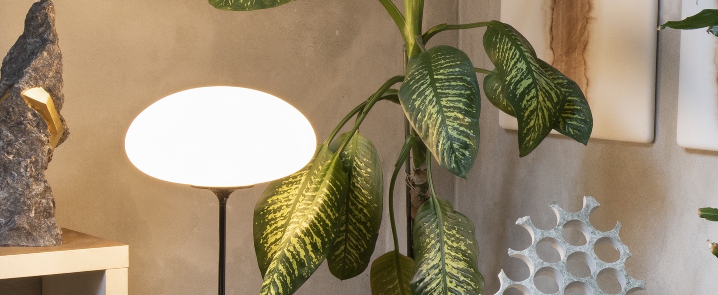 banner-image