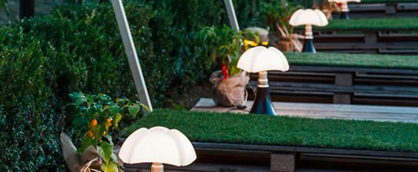 banner-image