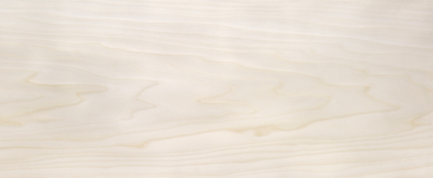 banner-image