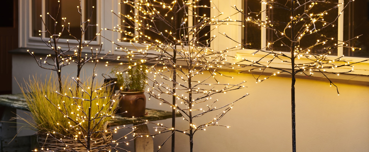 banner-image