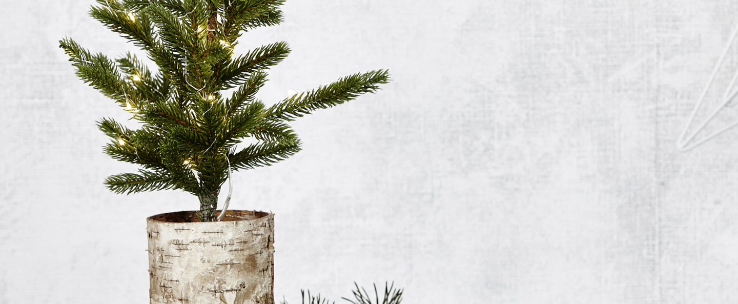 banner-image