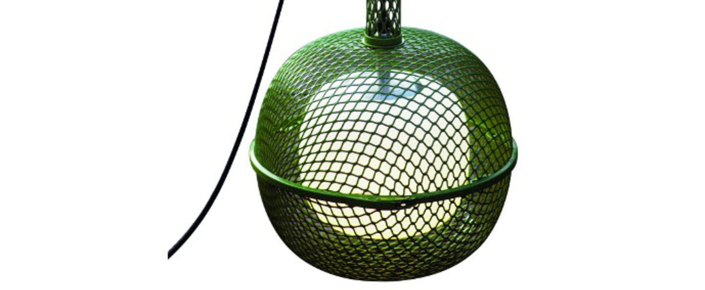 banner-image