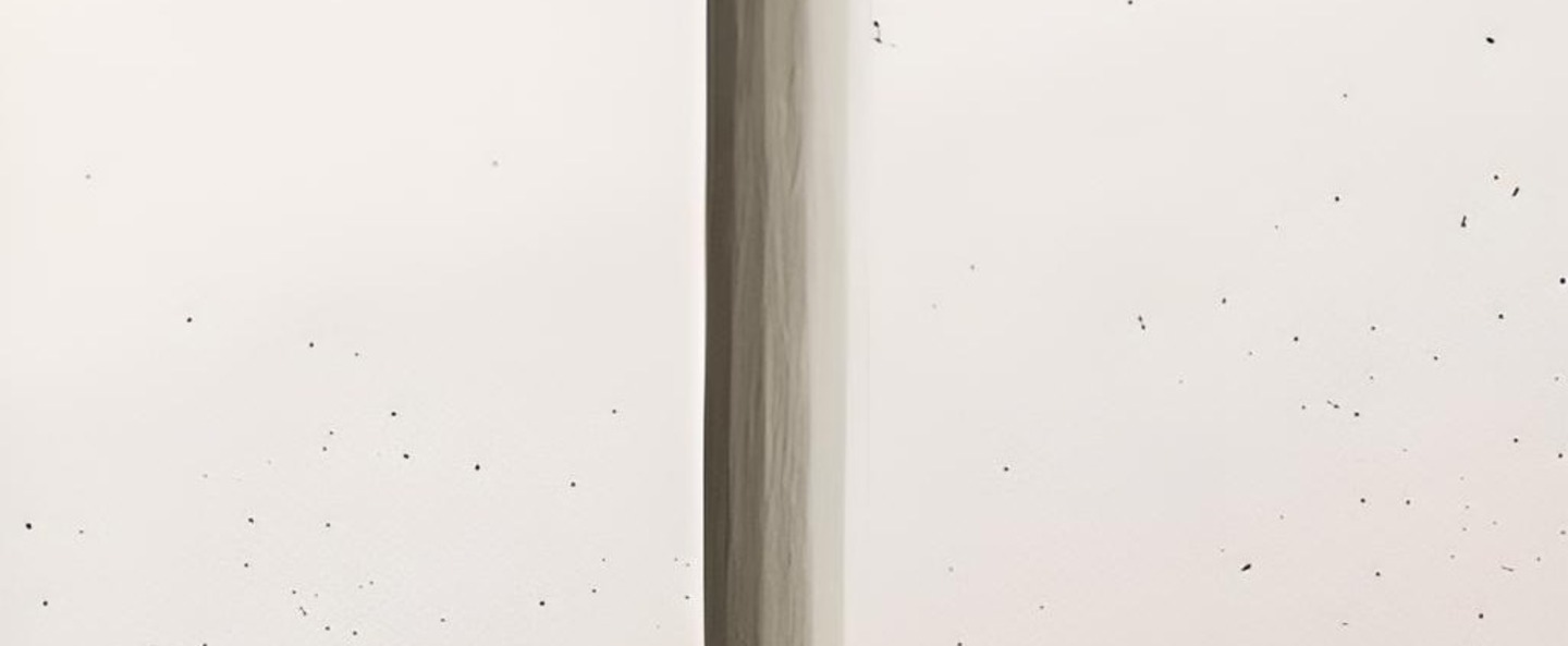 banner-image