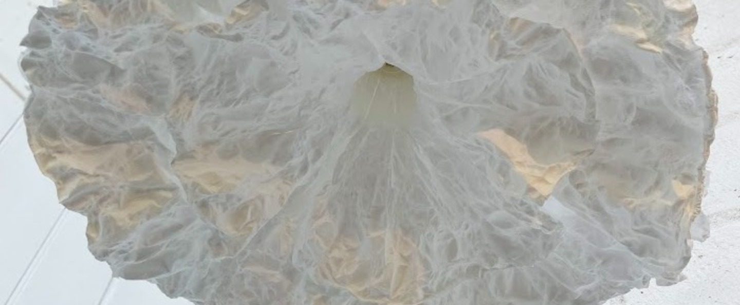 banner-image