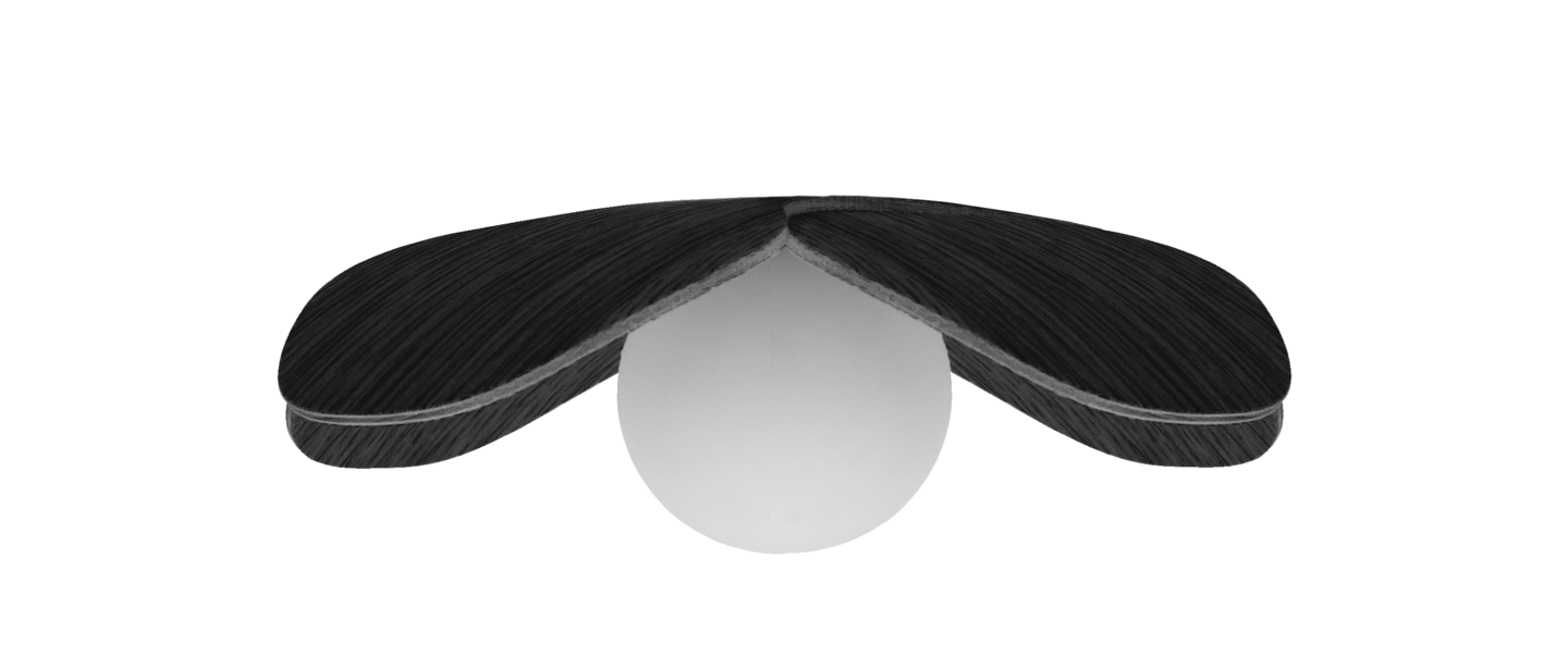 banner-image