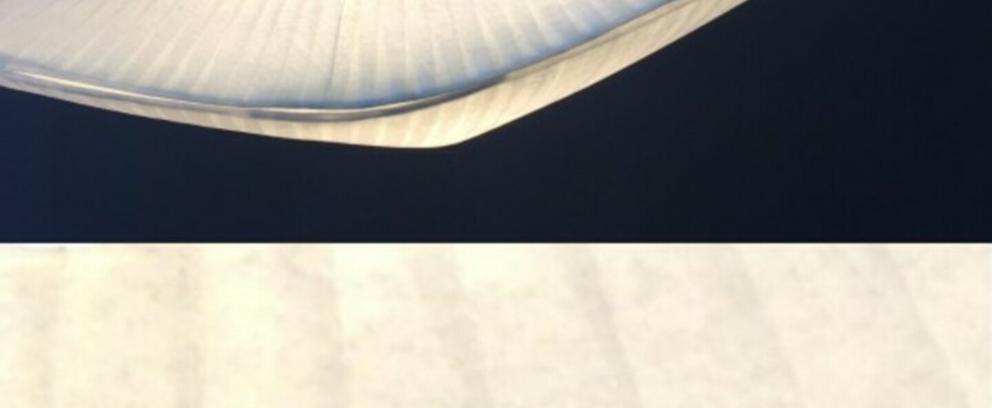 banner-image Suspension l oiseau petit blanc l80cm h17cm celine wright normal