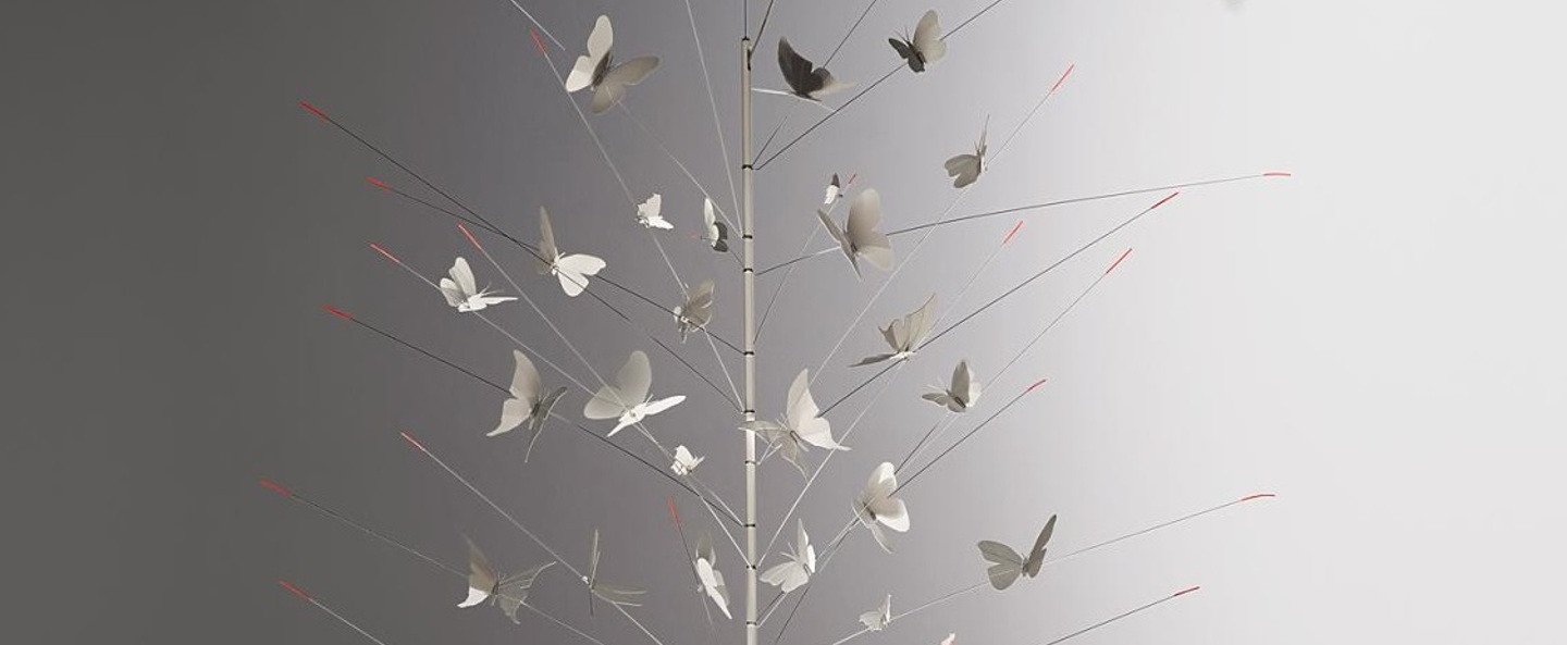 banner-image