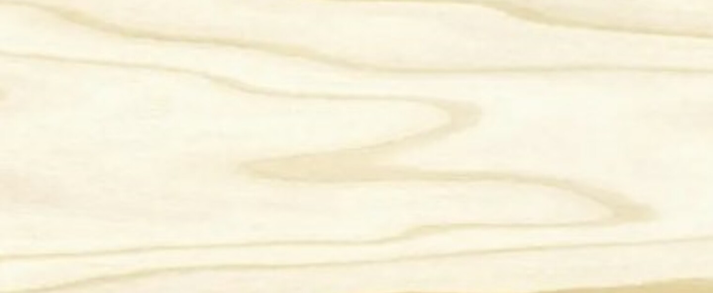 banner-image