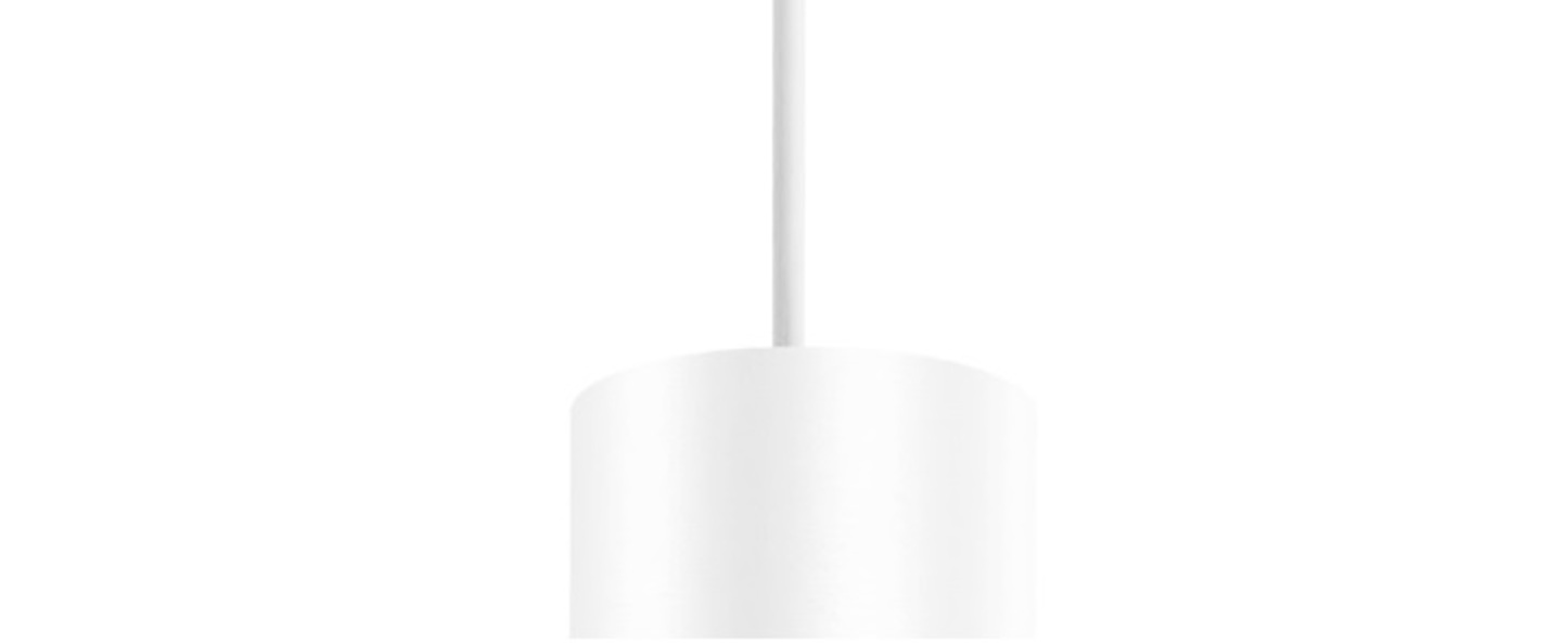 banner-image Suspension ray ceiling suspended 2 0 blanc led 2700k 420lm o6 7cm h20cm wever ducre normal
