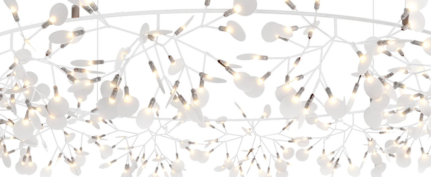 banner-image