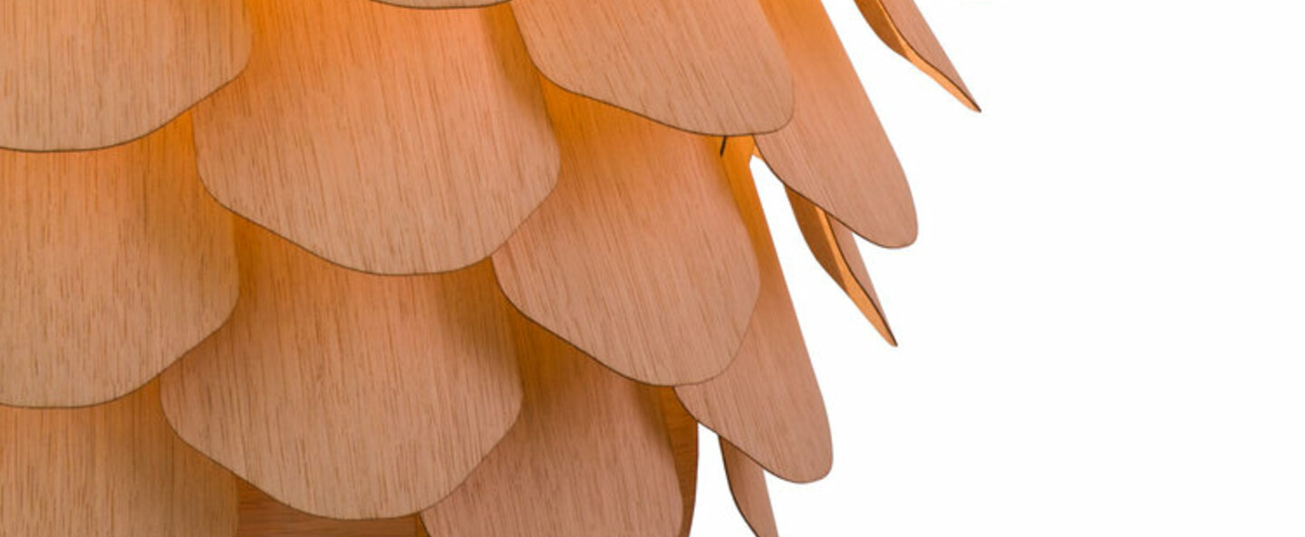 banner-image