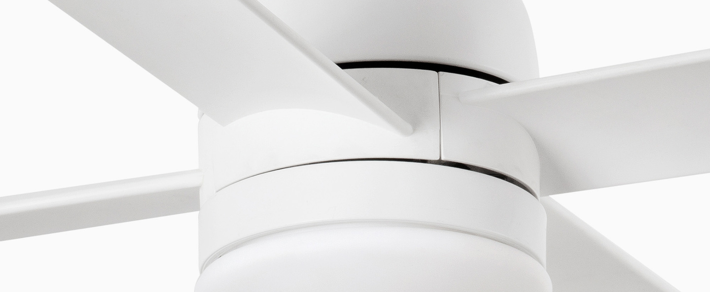 banner-image