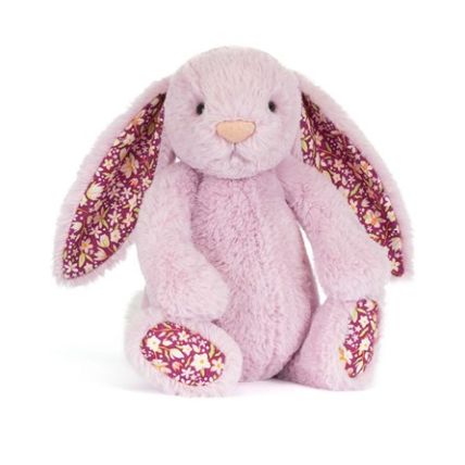 Jellycat soft toys and books