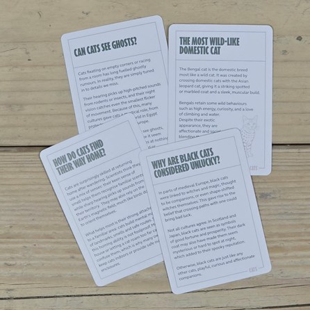 100 Become an Expert in Cats Cards 100 Become an Expert in Cats Cards