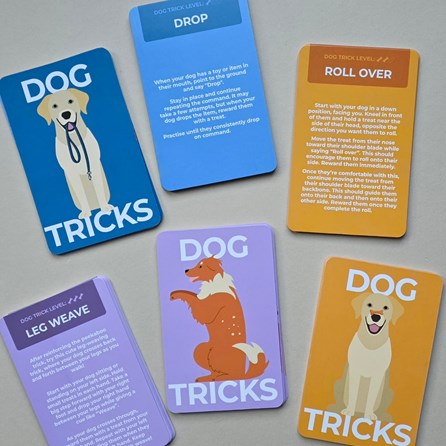 100 Dog Tricks Cards 100 Dog Tricks Cards