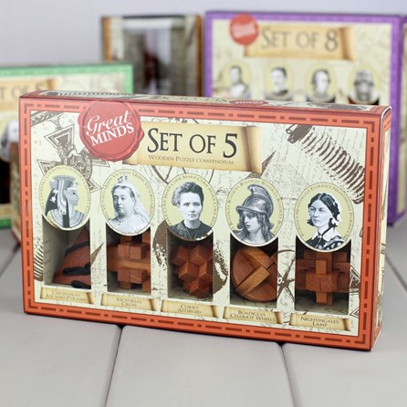 Set Of Five Puzzles Based On Great Minds Set Of Five Puzzles Based On Great Minds