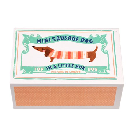 Mini Sausage Dog in a Little Box Mini Sausage Dog in a Little Box