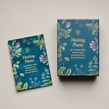 50 Healing Plants Botanical Cards 50 Healing Plants Botanical Cards