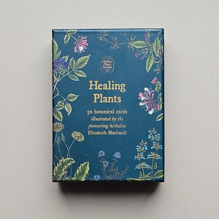 50 Healing Plants Botanical Cards 50 Healing Plants Botanical Cards