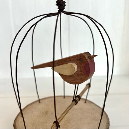 Bird in a Rusty Wire Cage Bird in a Rusty Wire Cage