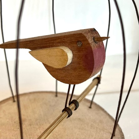 Bird in a Rusty Wire Cage Bird in a Rusty Wire Cage