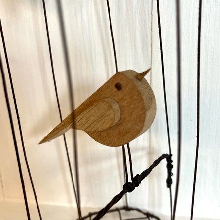 Bird in a Rusty Wire Cage - Large Bird in a Rusty Wire Cage - Large