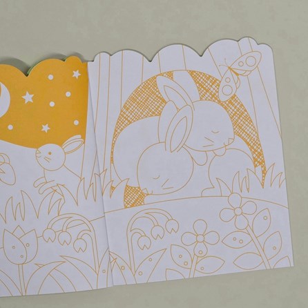 Bunnies Colouring Book and Stickers