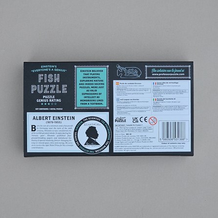 Einstein's Metal Fish Puzzle Einstein's Metal Fish Puzzle