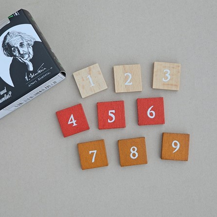 Einstein's Mini Wood or Metal Puzzle Einstein's Mini Wood or Metal Puzzle