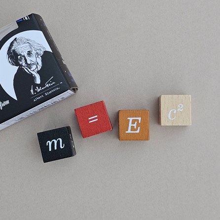 Einstein's Mini Wood or Metal Puzzle Einstein's Mini Wood or Metal Puzzle